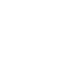 Monkey Discover